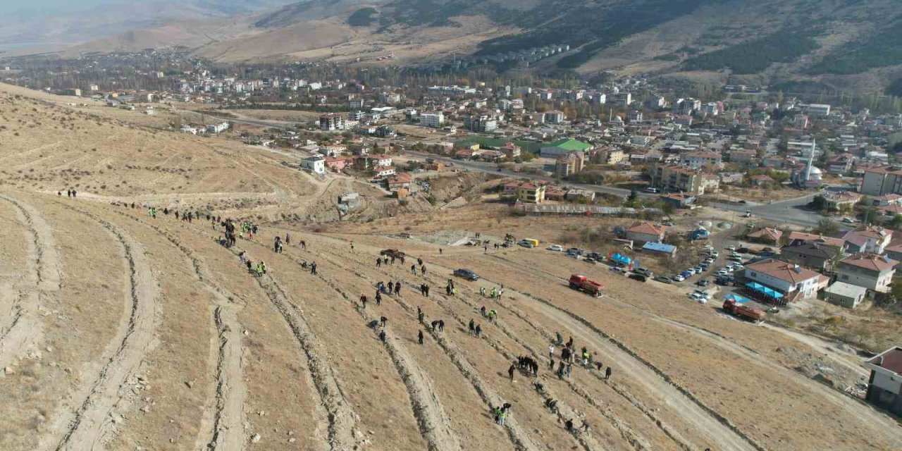 Yahyalı’da Binlerce Fidan Toprakla Buluştu