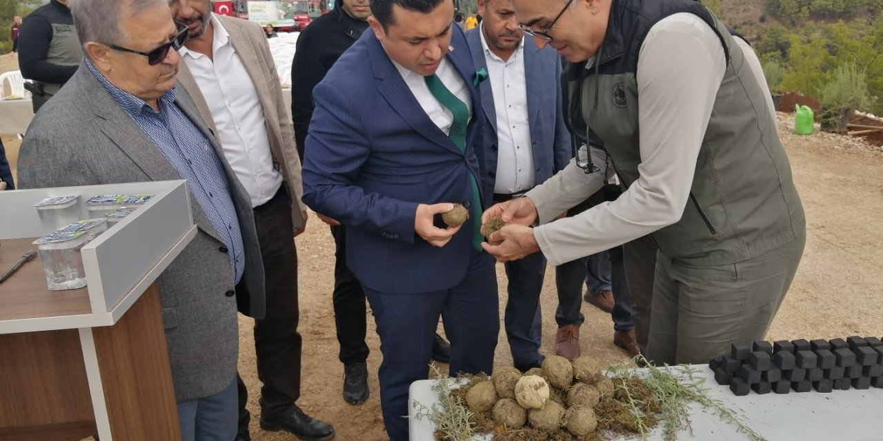 Milli Ağaçlandırma Günü’nde Karbon Zengini Tohumlar Toprakla Buluşturuldu