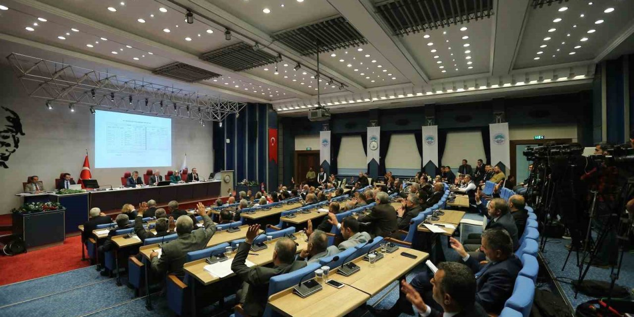 Yüzde 50 Hibeli Damızlık Erkek Manda Dağıtılacak