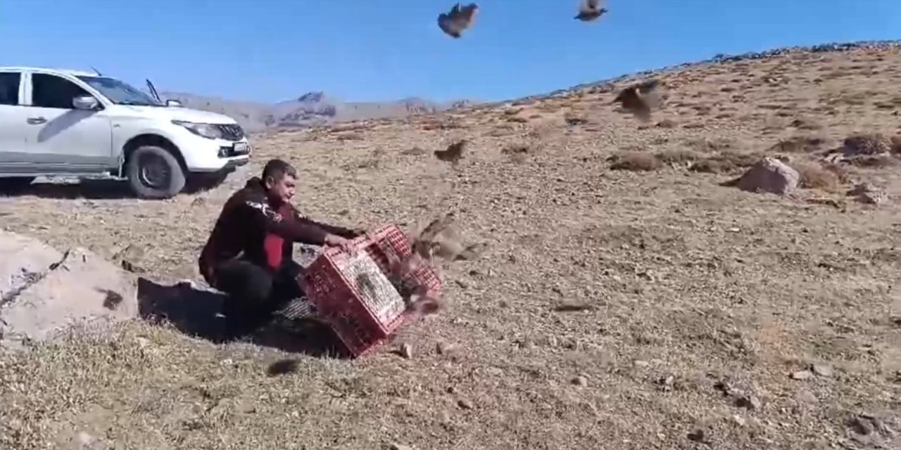 Antalya’da Doğaya 240 Çil Keklik Salındı