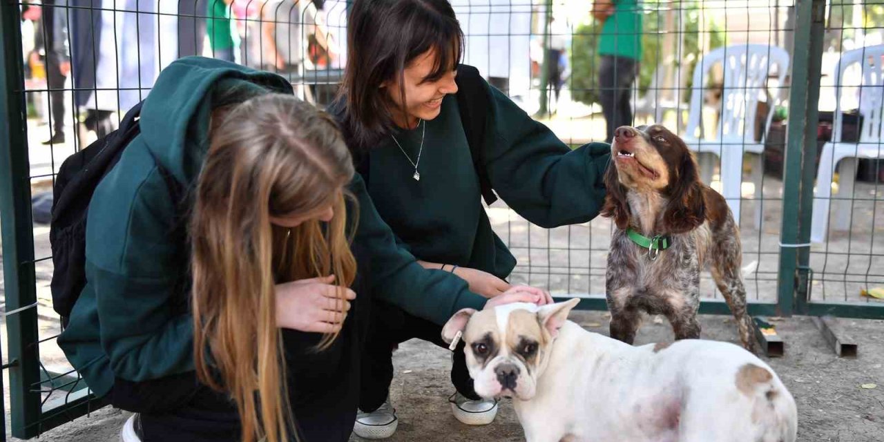 Mersin’de Patili Dostlar Yeni Yuvalarına Kavuştu