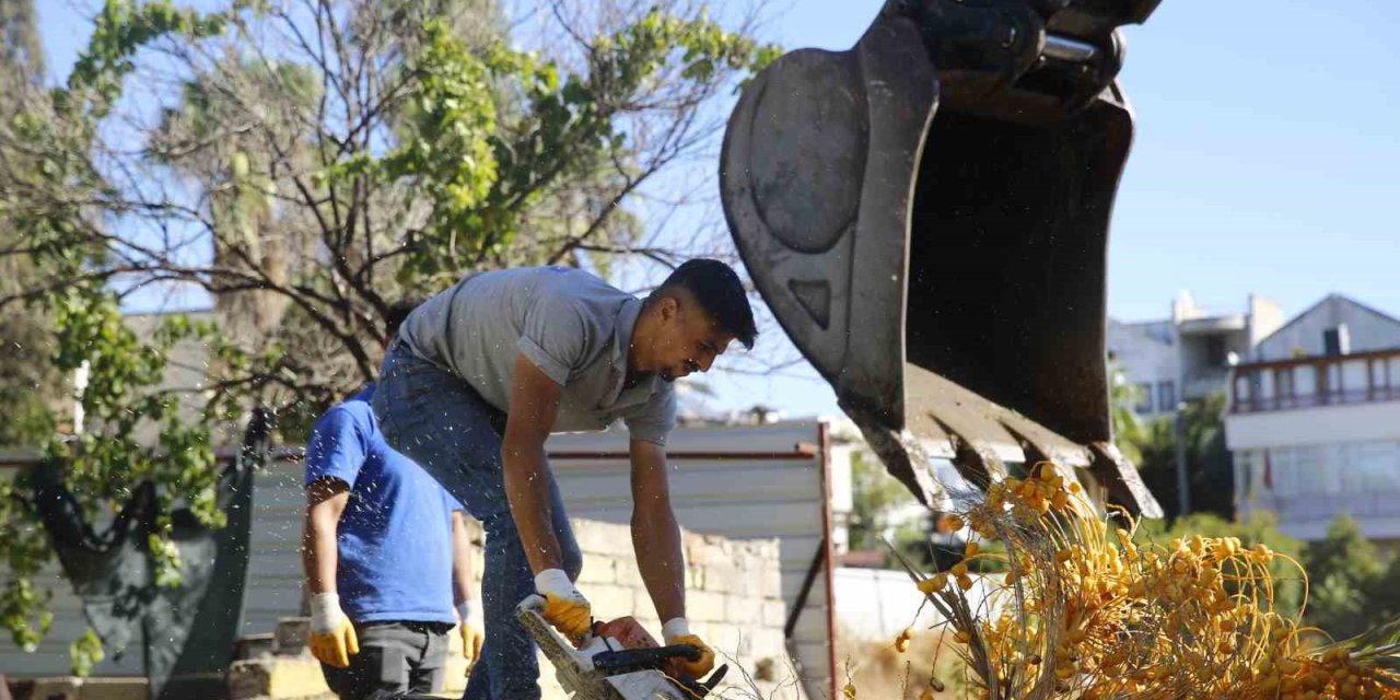 Balbey’de Kentsel Yenileme Projesi Çalışmaları Devam Ediyor
