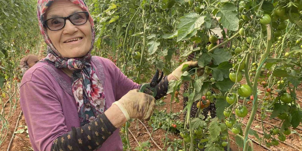 Kocası 5 Çocuğuyla Bırakıp Kaçınca 46 Sene Ev Temizledi, Şimdi İse 75 Yaşında Serada Çalışıyor