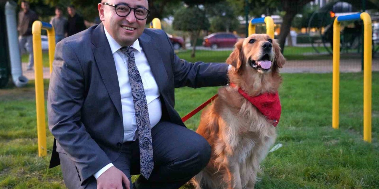 Geri Dönüşüm Malzemelerinden Pati Park