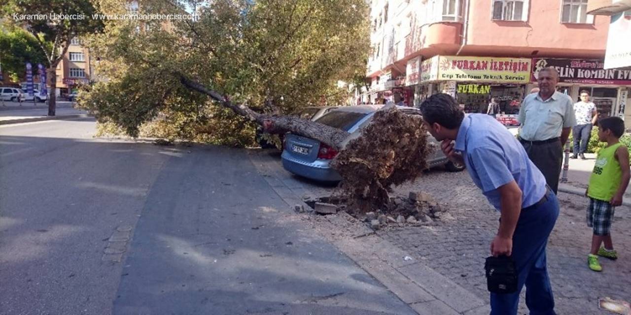 Römorkun Söktüğü Ağaç Otomobillerin Üzerine Devrildi