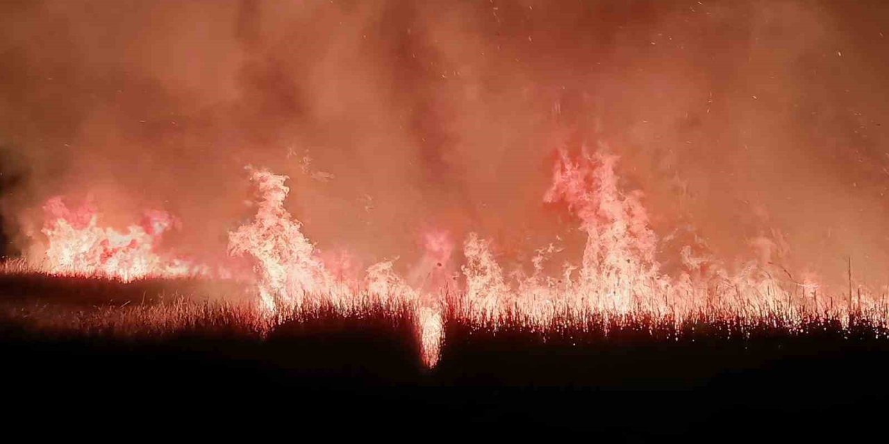 Sultan Sazlığı Milli Parkı’nda Yangın