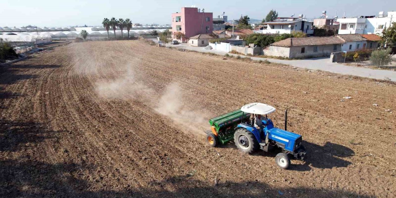 Akdeniz Belediyesi, Verimli Arazileri Tarıma Kazandırıyor