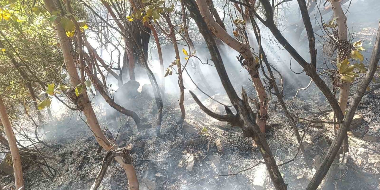 Ormanlık Alanda Yıldırım Düşmesi Sonucu Çıkan Yangın Söndürüldü
