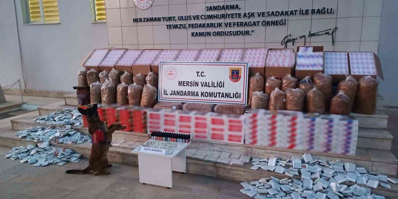 Mersin’de Kaçakçılıkla Mücadele, 208 Bin Adet Makaron Ele Geçirildi