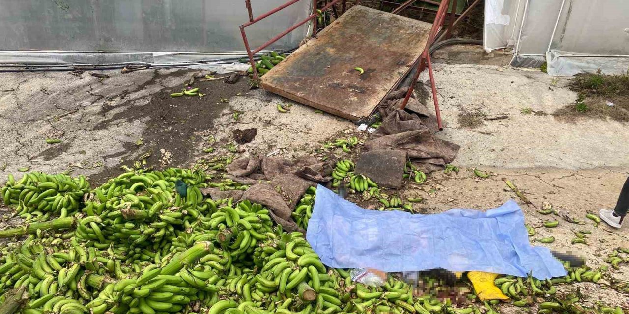 Muz Serasında Raylı Sisteme Ait Kasanın Halatı Koptu, Ortalık Savaş Alanına Döndü: 2 Ölü, 2 Yaralı