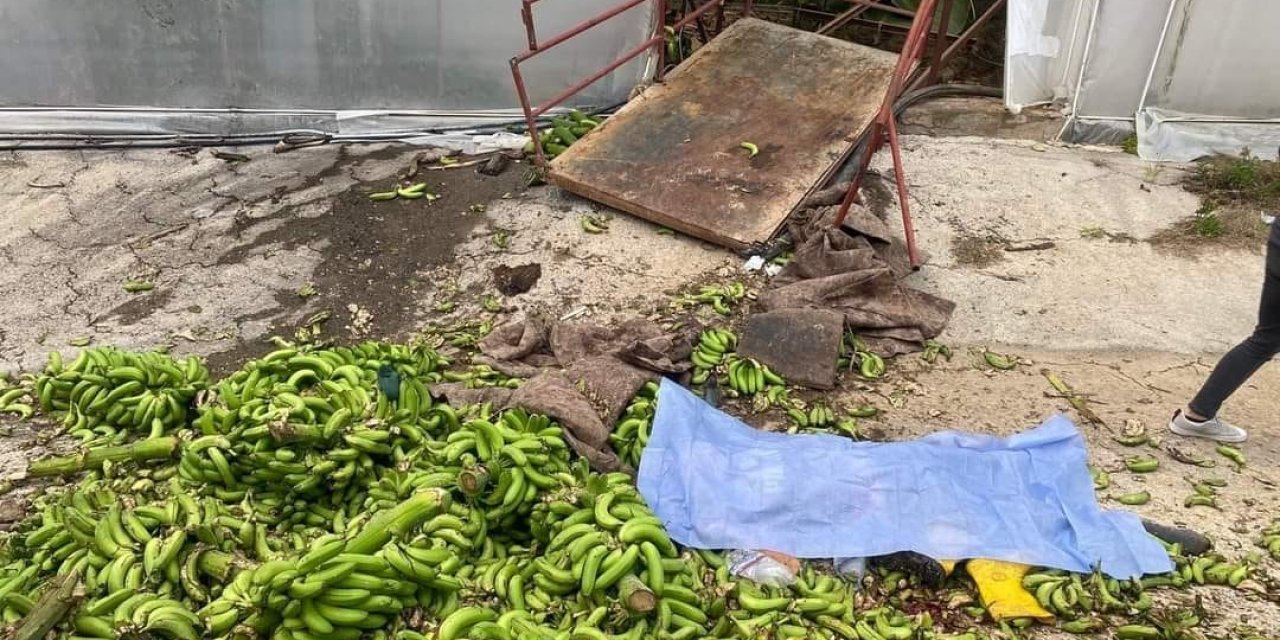 Alanya’da Seradaki İş Kazasıyla İlgili 2 Kişi Tutuklandı