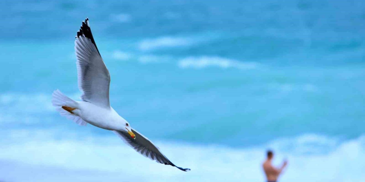 Rus Turist Fırtınanın Oluşturduğu Dev Dalgalar Arasında Denize Girdi, Ceket Giyenlere Güldü