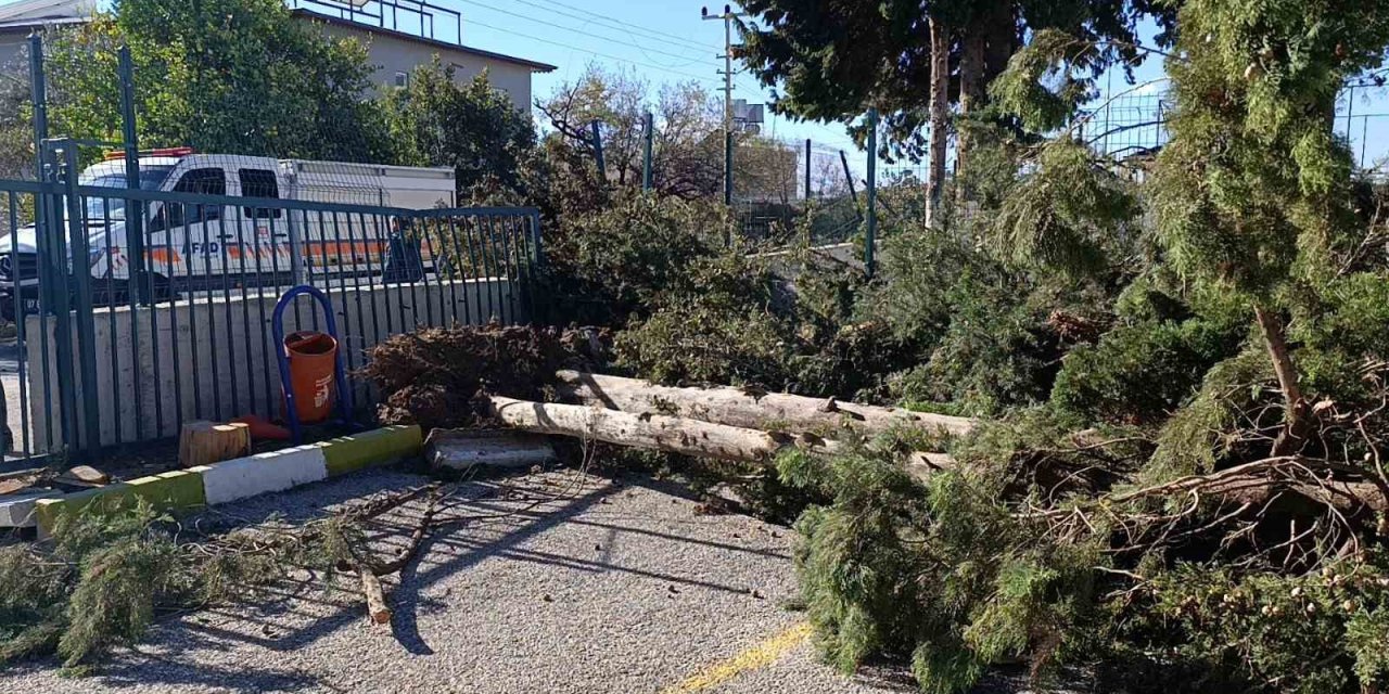 Manavgat’da Şiddetli Fırtına Ve Rüzgar Ağaçları Yıktı, Okula Zarar Verdi