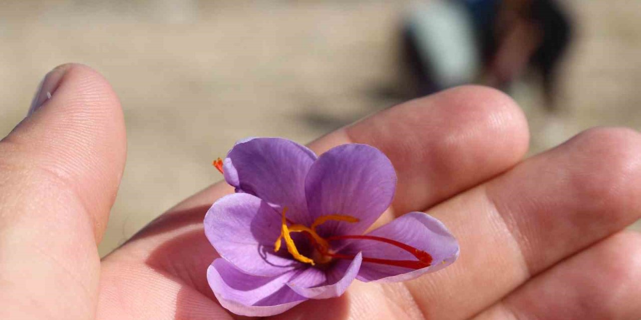 Safran Deneme Üretimi Başarıya Ulaştı