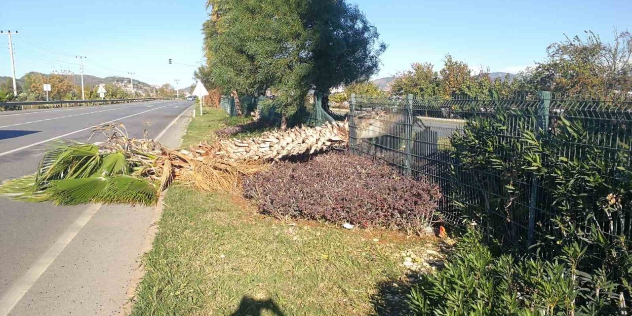 Gazipaşa’da Fırtına 250 Hektarlık Sera Alanını Vurdu