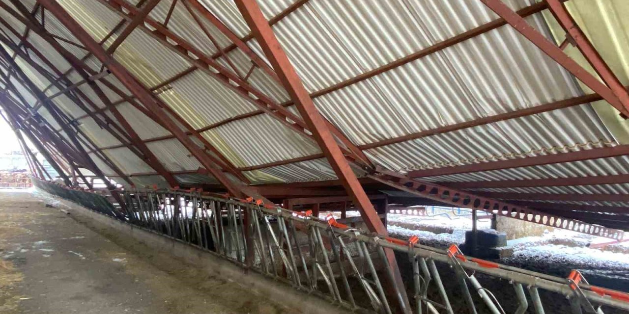 Kayseri’de Karın Ağırlığına Dayanamayan Ahırın Çatısı Çöktü: 17 Hayvan Telef Oldu