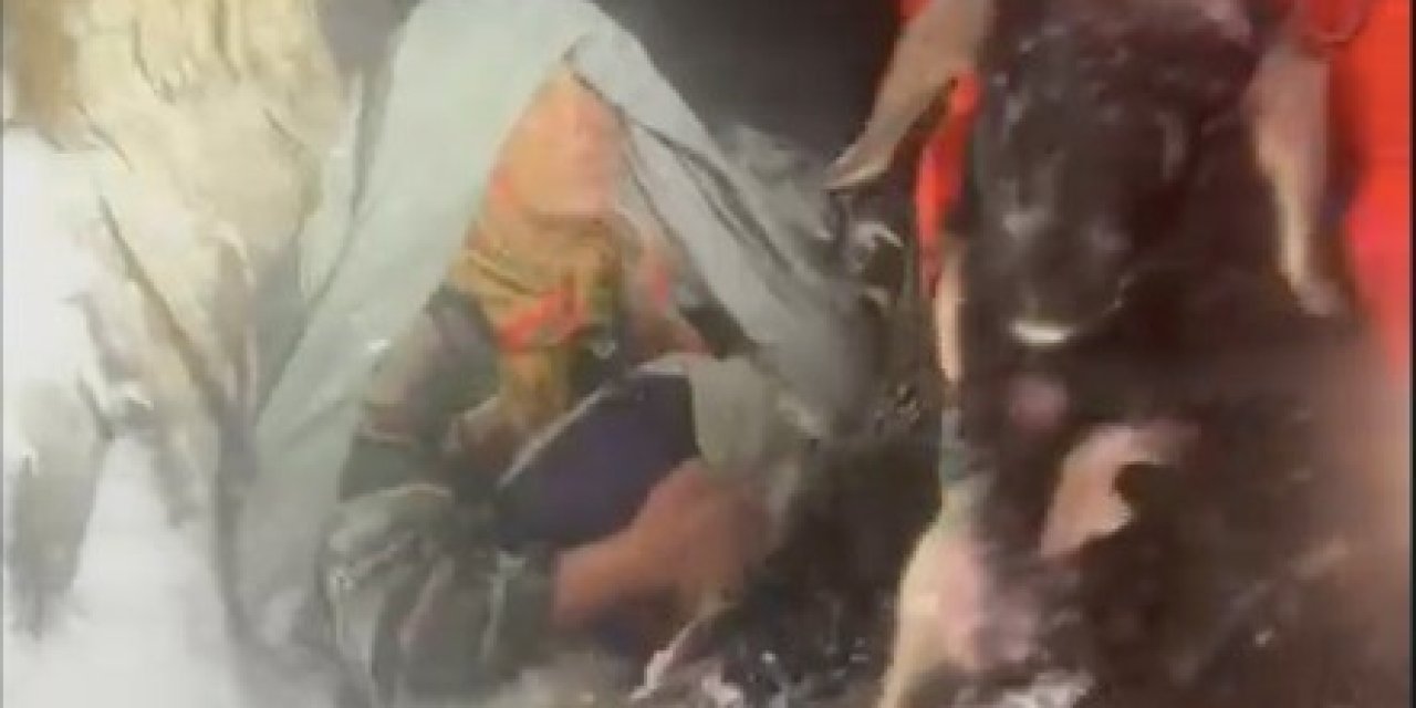 Tipide Kocasıyla Birlikte Kaybolan Yaşlı Kadın, 2 Kuzusu Ve Tavuğuna Sarılmış Halde Bulundu