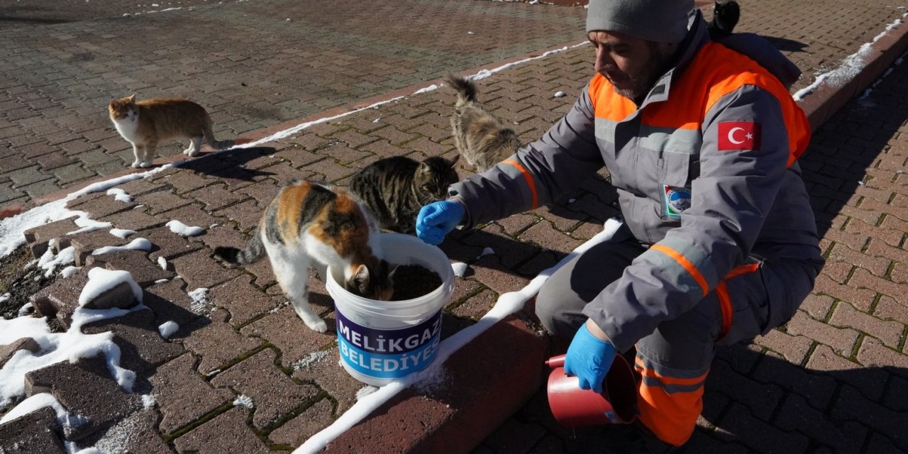 Melikgazi Belediyesi Kar Yağışı Sonrası Sokak Hayvanlarını Unutmadı