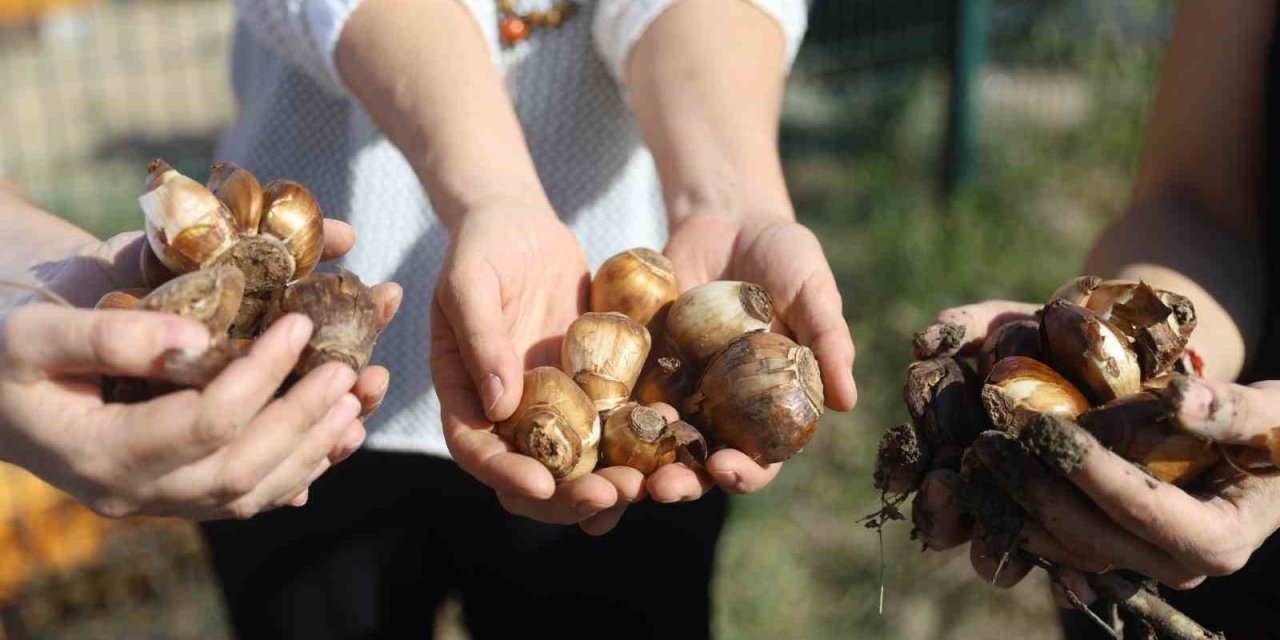 Büyükşehir Belediyesi’nden Kadın Girişimcilere Tarımsal Destek