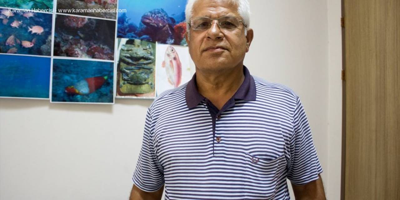 Balıkçılara "Akdeniz Foku" Uyarısı