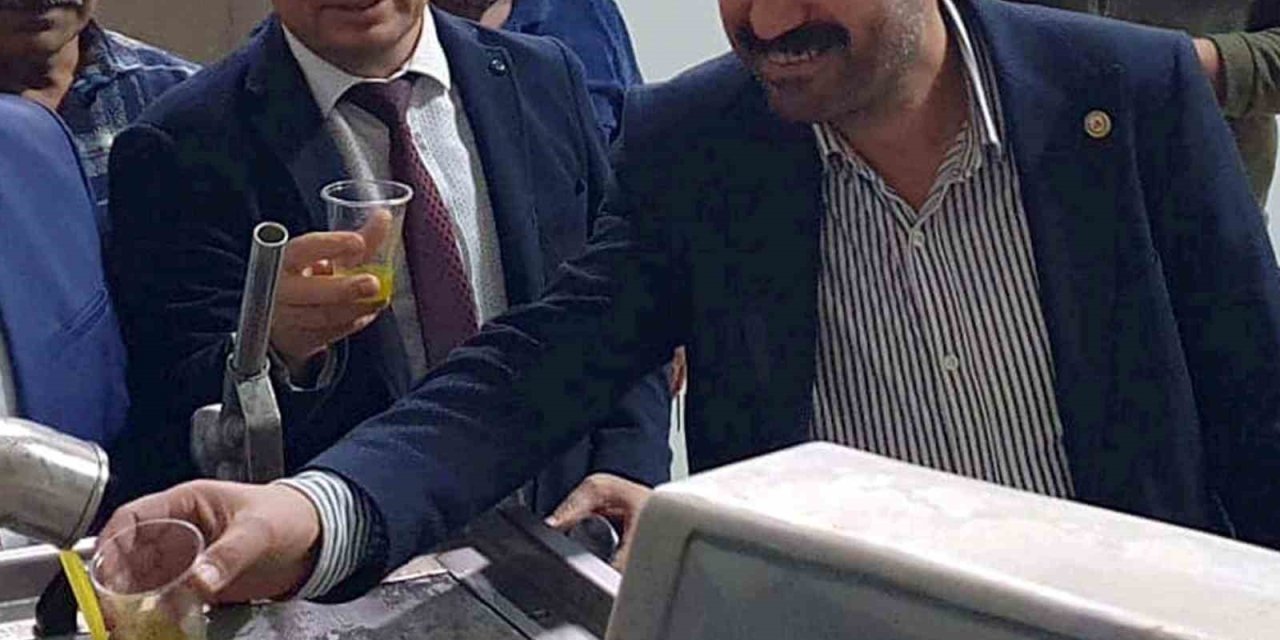 Zeytinde Verim Arttı, Yağın Fiyatı 160 Tl’ye Kadar Düştü