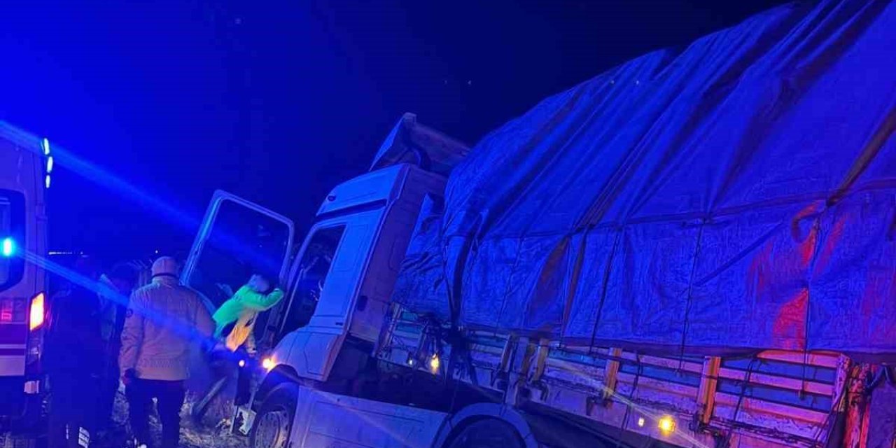 Kontrolden Çıkan Tır Şarampole İndi, Sürücü Öldü