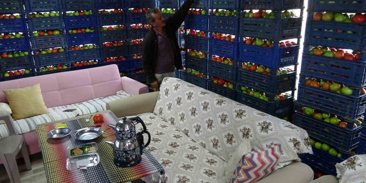 Yetiştirdiği Ürünle Gurur Duyan Üretici, 3 Ton Domatesi Evine Taşıdı