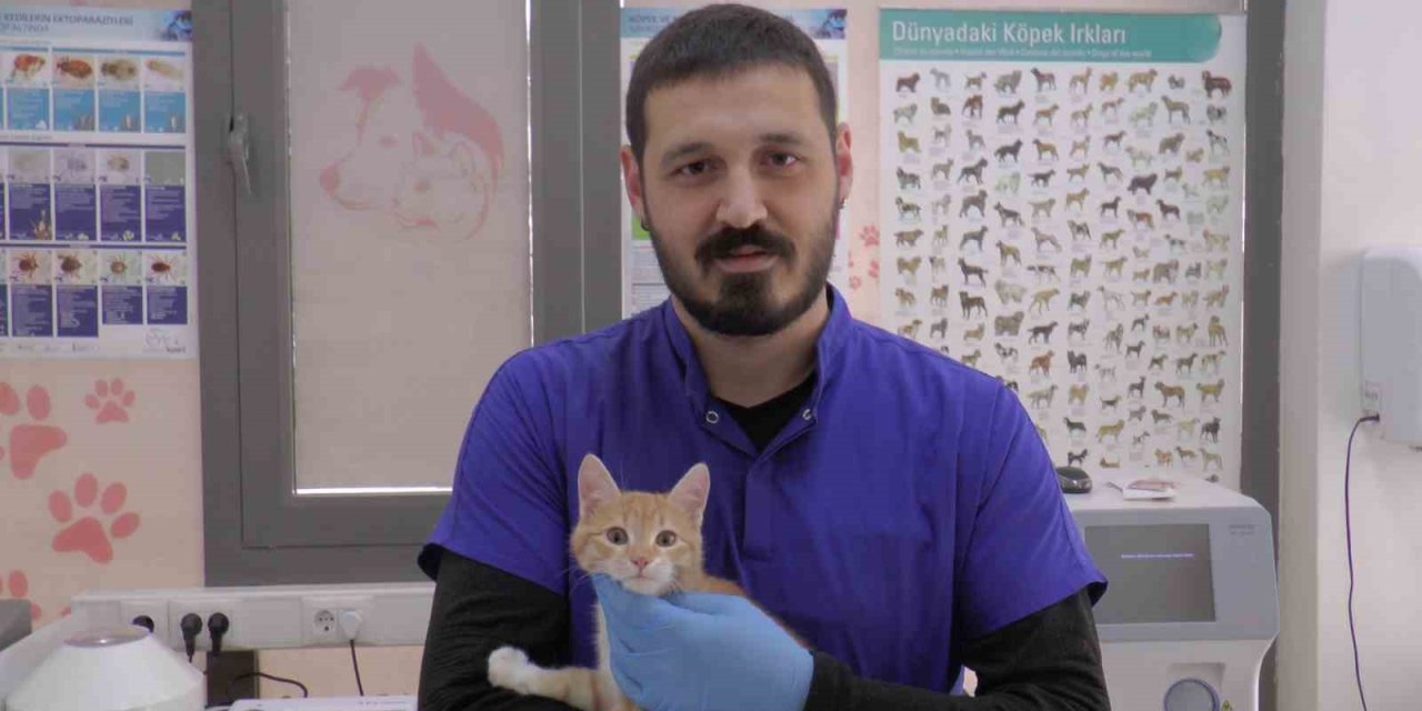 Kırsal Bölgelerde Yaşayan Vatandaşlar ‘kurt’ Uyarısı