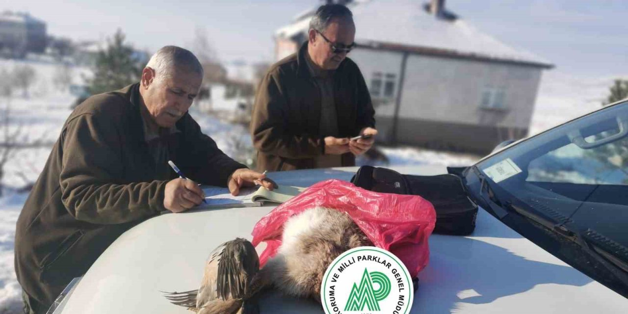 Yasa Dışı Ava Suçüstü