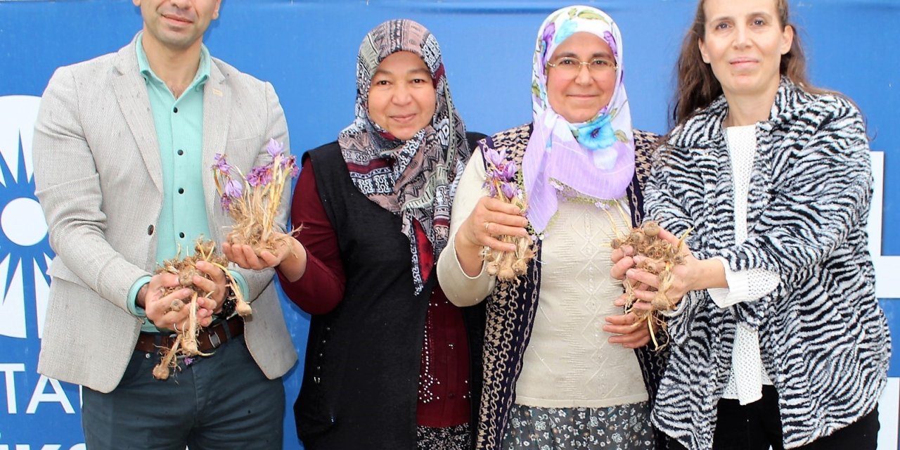 Elmalı’da Safran Soğanı Dağıtımı Yapıldı