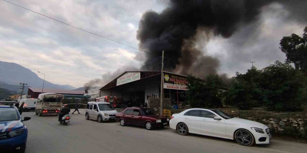 Alanya’da Mobilya Deposu Yandı, Alevler Muz Ve Çiçek Serasına Sıçradı