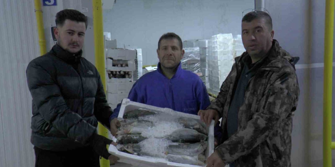 Kayseri’den 6 Ülkeye 10 Bin 500 Ton Balık İhracatı