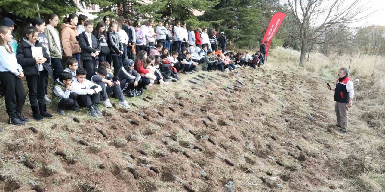 Okul Arazisine Lavanta, Biberiye, Kekik Ve Adaçayı Fidanları Diktiler