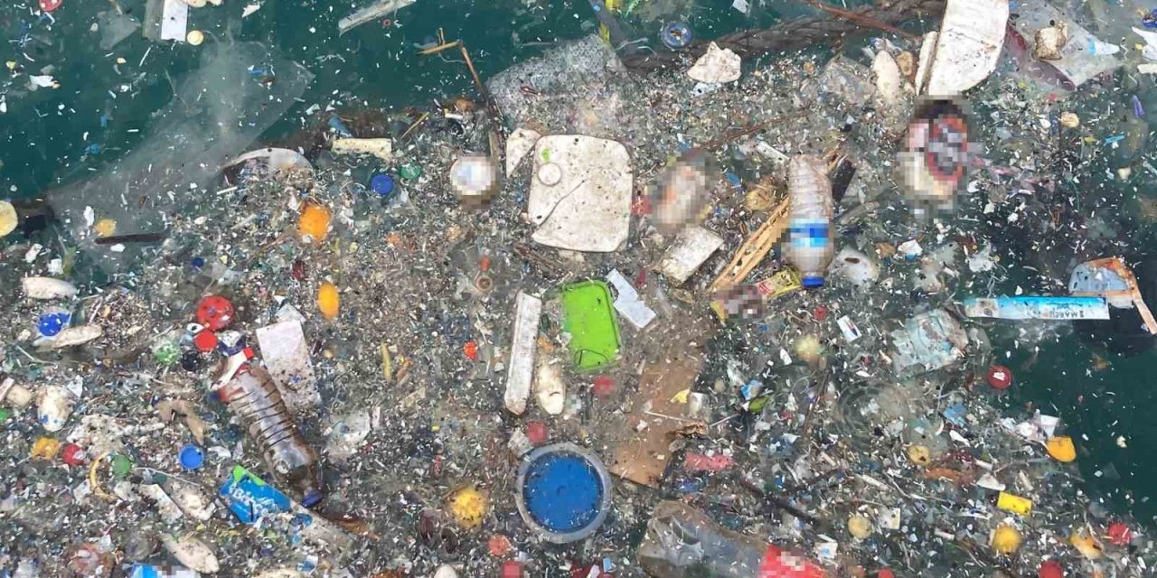 Akdeniz’de Oksijen Seviyesini Düşüren Kirlilik: Mersin Ve İskenderun Körfezleri Öne Çıkıyor