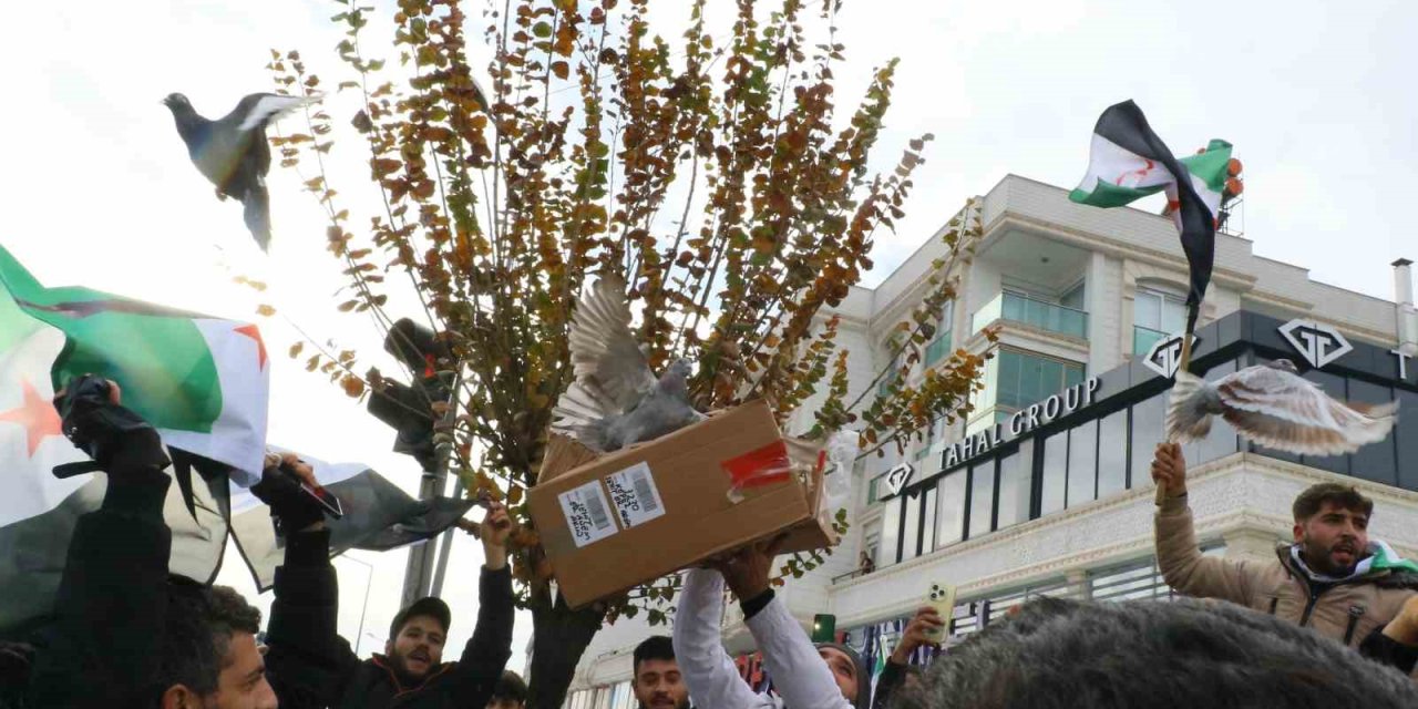 Antalya’daki Suriyeliler Rejimin Yıkılmasını Gökyüzüne Beyaz Güvercin Bırakarak Kutladı