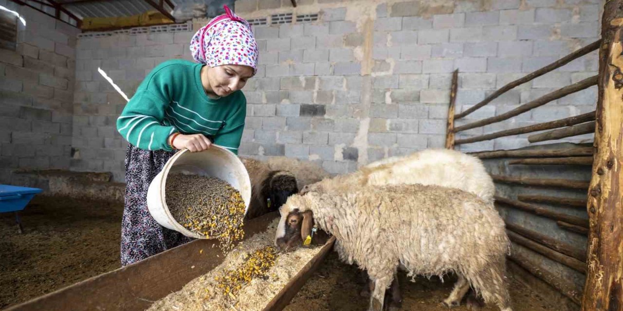 ’hadi Gel Köyümüze Geri Dönelim’ Projesi Bir Genci Deha Üretime Kazandırdı