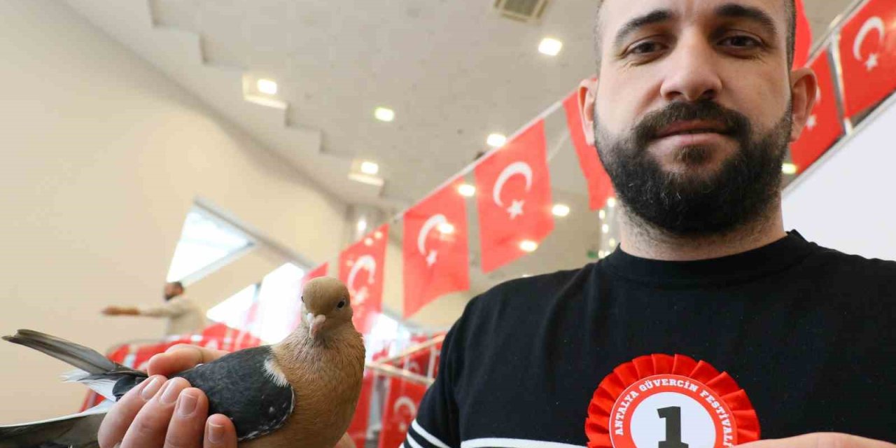 Milyonluk Güvercinler Antalya’daki Festivalde  Buluştu