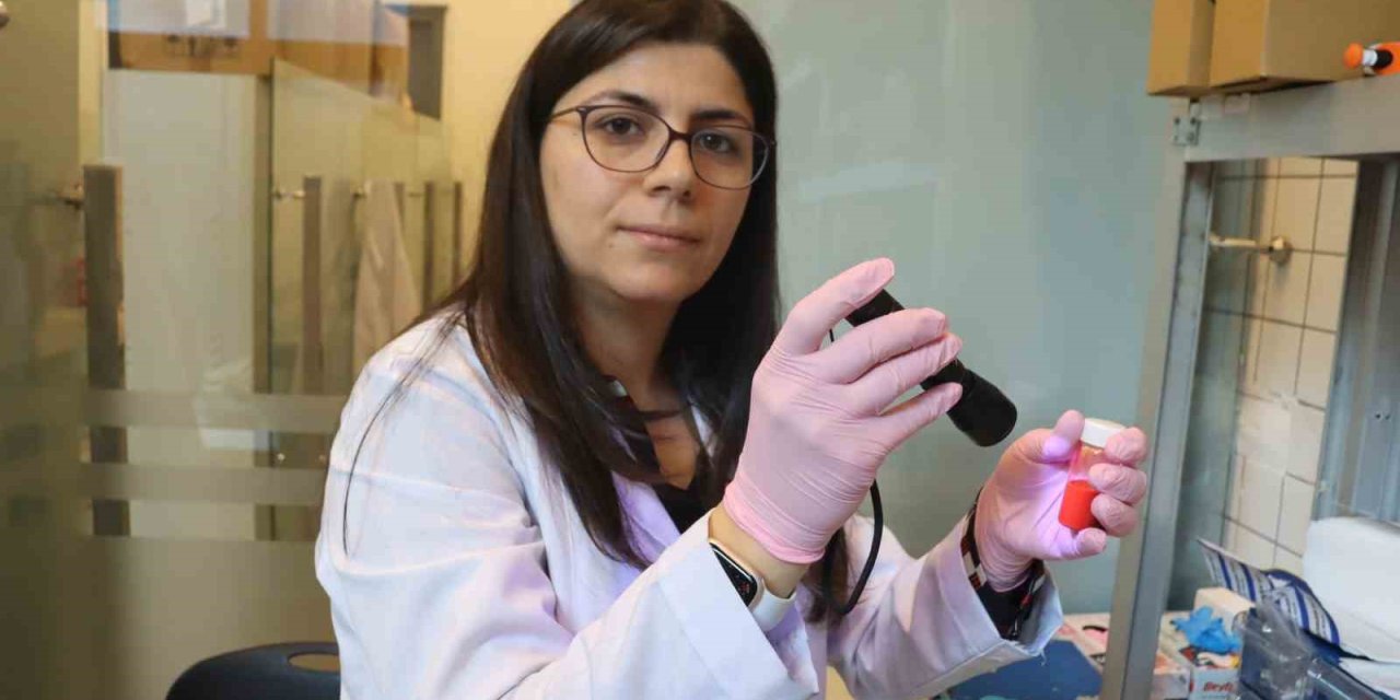 Üzerlik Ve Sarı Kantarondan Led Işığı