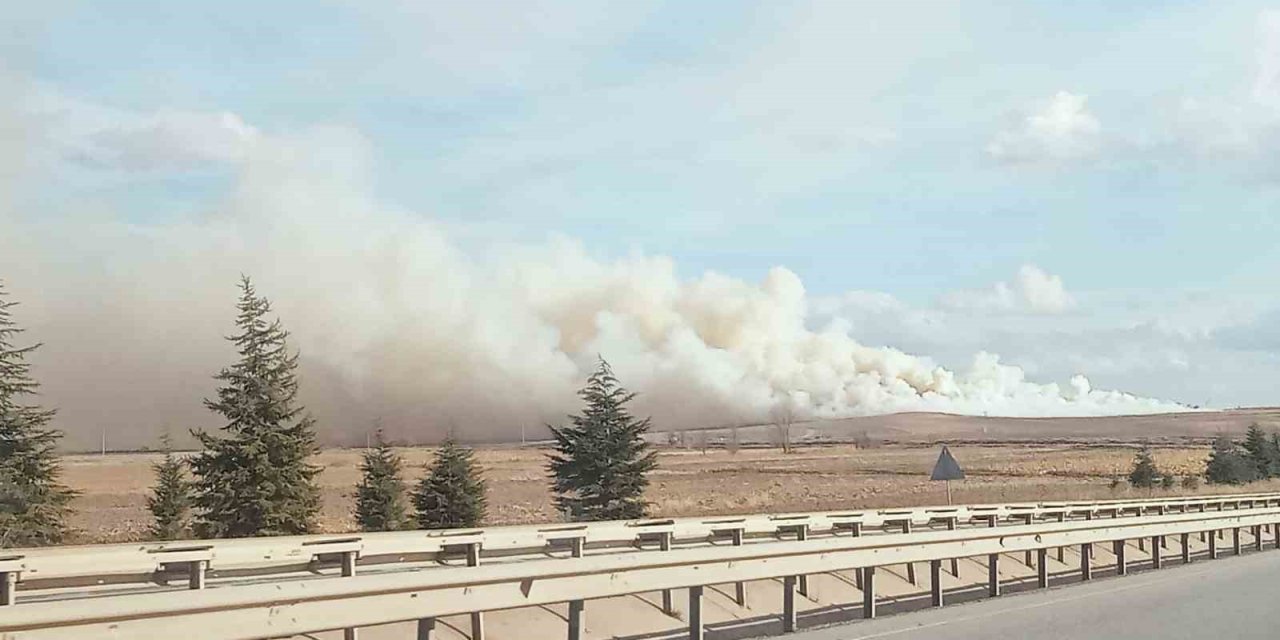 Mısır Tarlasında Korkutan Yangın