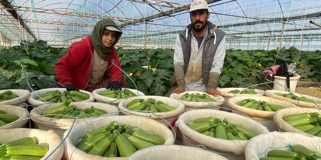 Suriye’den Kaçıp Türkiye’de Evlenen Çift: “esad’ın Yaptığını Bize Gavur Yapmadı”