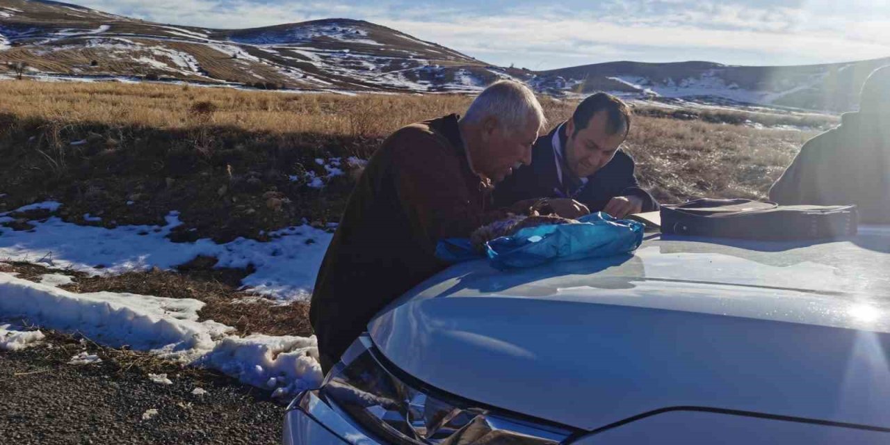 Yasadışı Ava Suçüstü