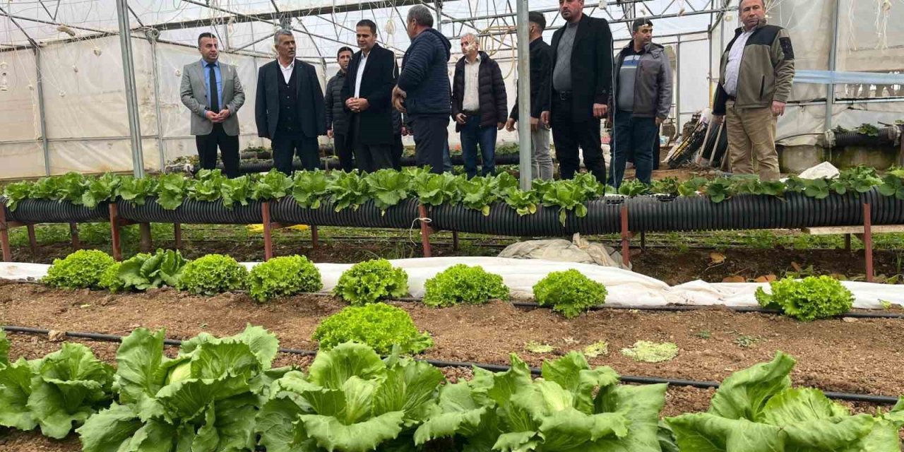 Beyşehir’de Yaz Seraları Üreticilerle Buluşturuldu