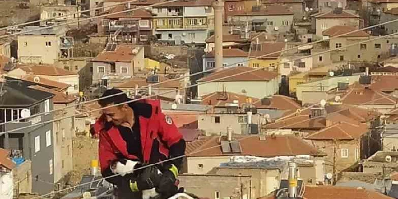 Elektrik Direğinde Mahsur Kalan Kediyi İtfaiye Kurtardı