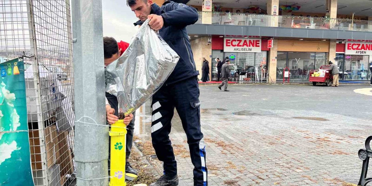 Kış Günlerinde Bünyan’da Sokak Hayvanlarına Umut Eli