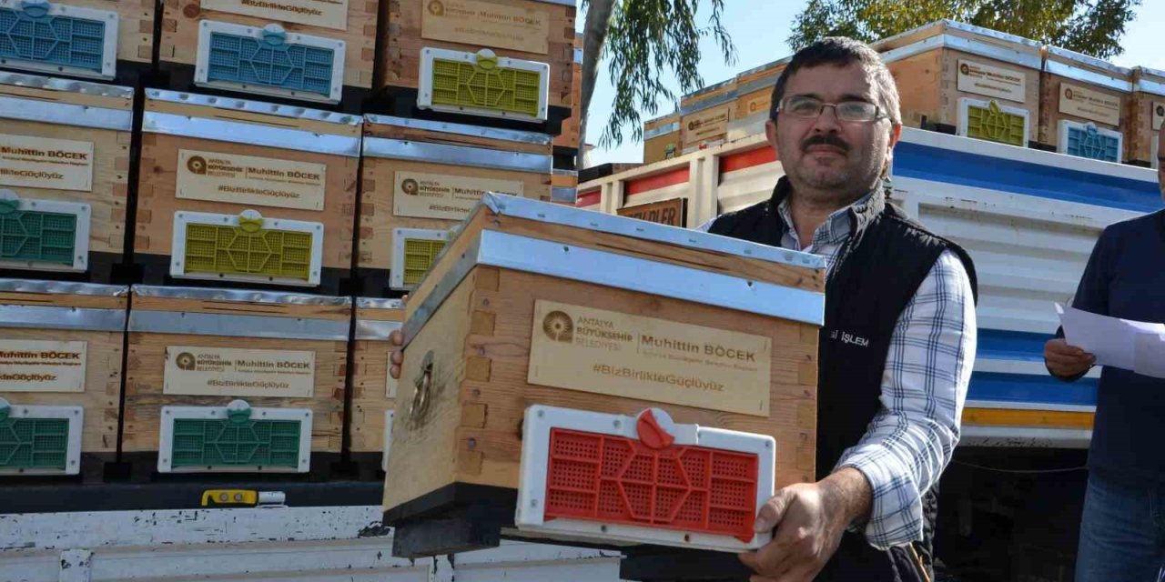 Alanyalı Bal Üreticilerine Arı Kovanı Hibe Edildi