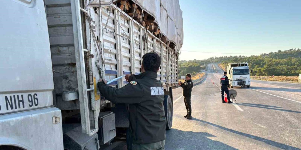 Mersin’de Orman Suçlarına Karşı Denetimler Sürüyor