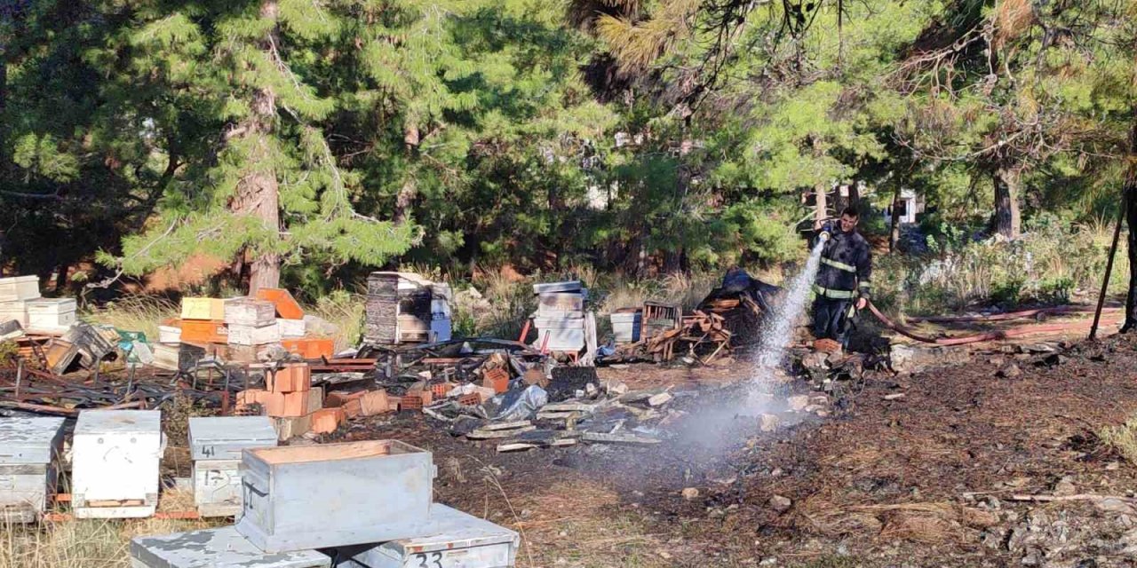 Mezarlıkta Yangın Çıktı, Yanan 15 Kovandaki Arılar Telef Oldu