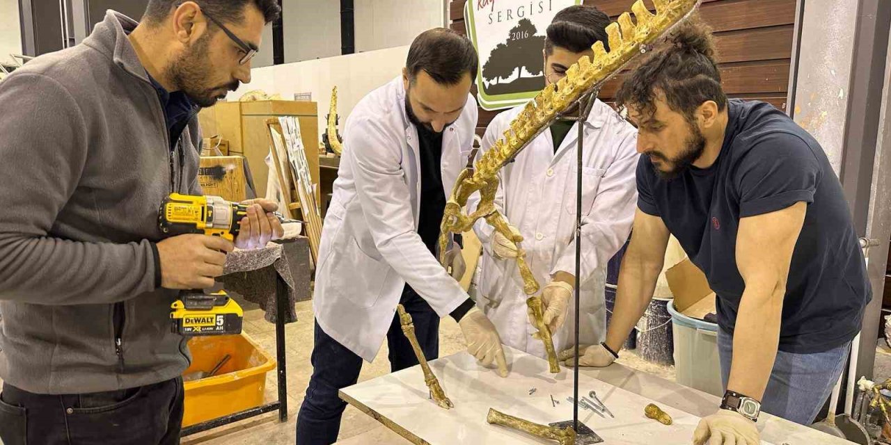 7,5 Milyon Yıllık Fosil Kazıları Dünya Paleontoloji Tarihine Işık Tutuyor