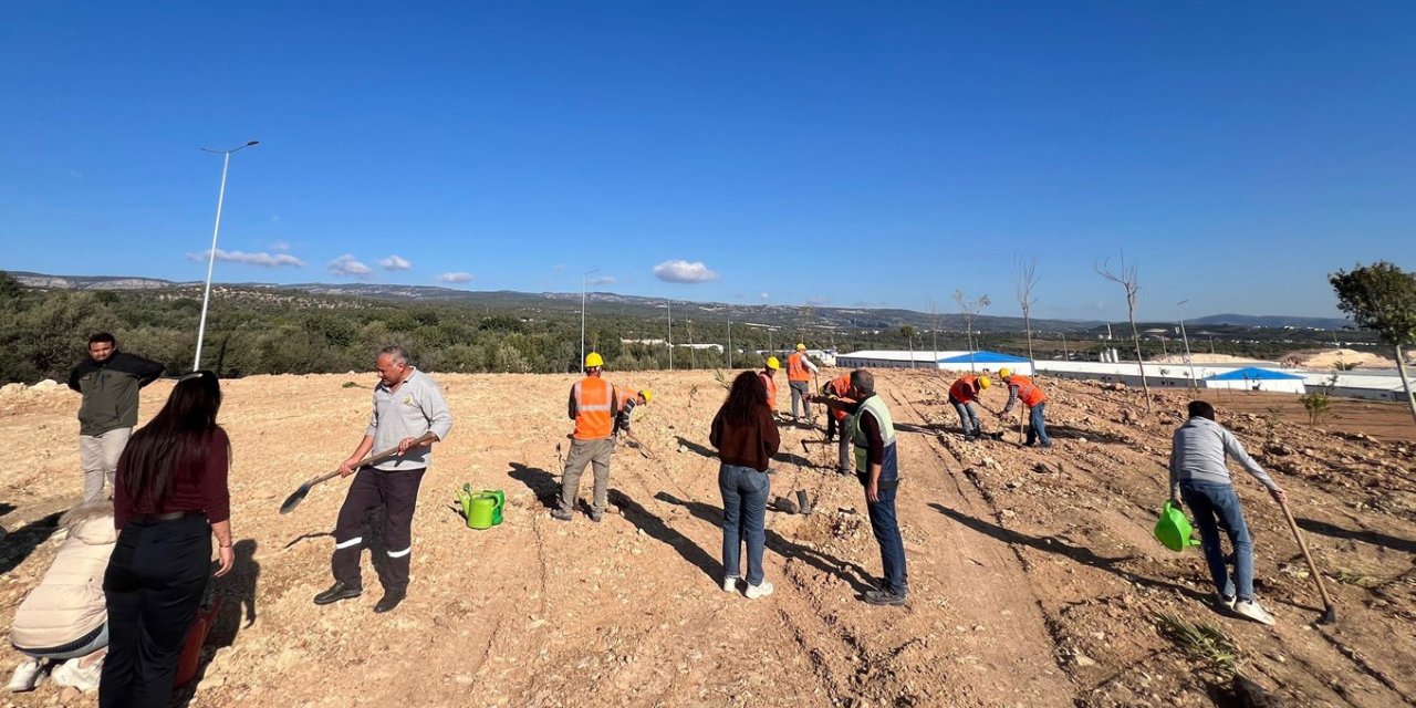 Mersin’de Otoban Yol Kenarları Ağaçlandırılıyor