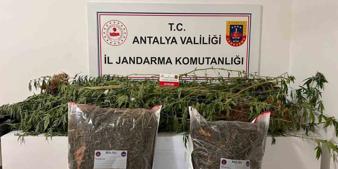 Alanya’da Narkotik Operasyonları